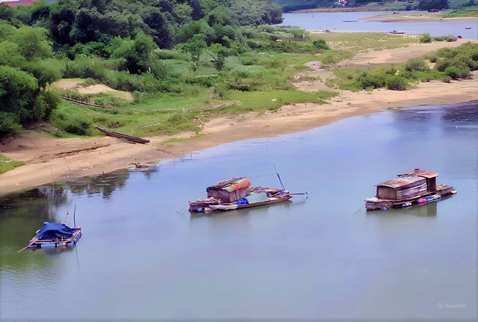 Bí ẩn rừng rong- Ảnh 3.