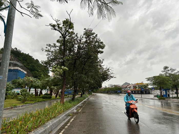 Quảng Ninh mưa lớn, gió giật mạnh, hàng quán đóng cửa ứng phó bão Yagi- Ảnh 2. Quảng Ninh mưa lớn, gió giật mạnh, hàng quán đóng cửa ứng phó bão Yagi- Ảnh 2.