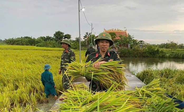 VIDEO: Lãnh đạo Bộ NN-PTNT chỉ đạo ứng phó bão số 3 tại Thanh Hóa- Ảnh 3.