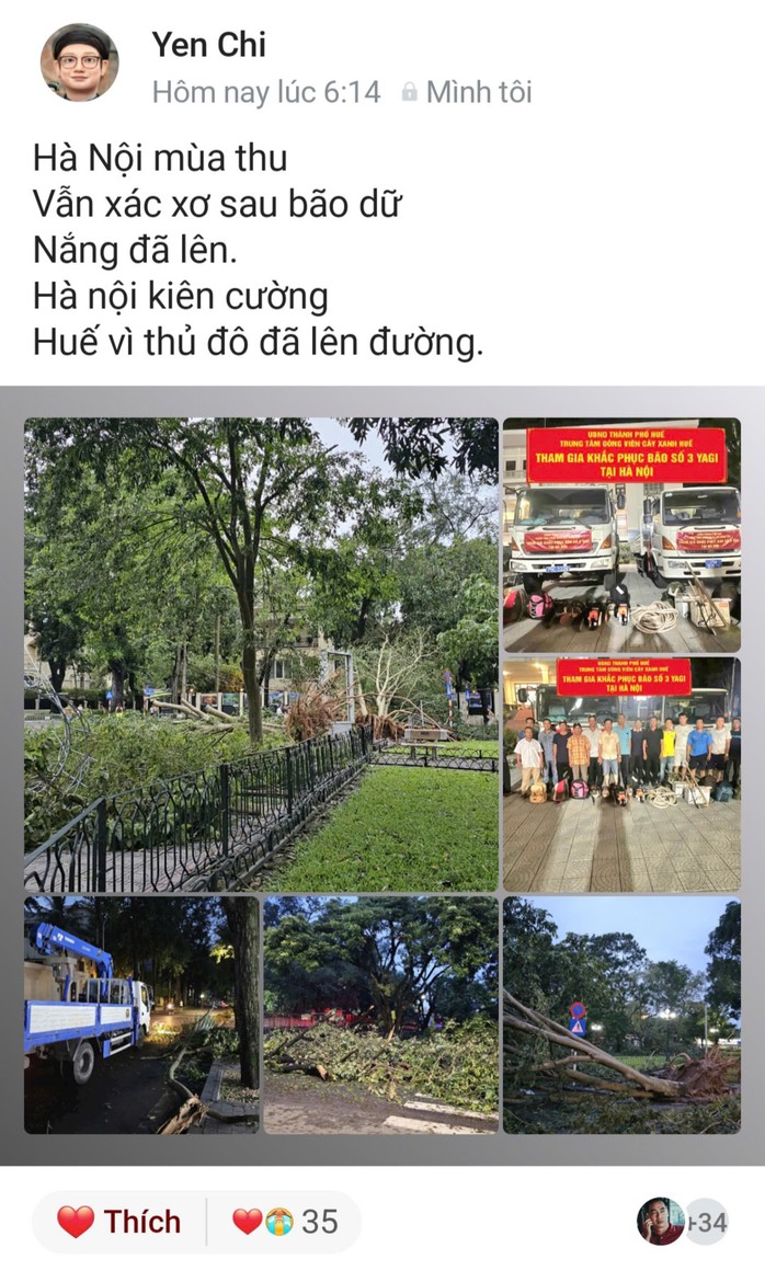 Giám đốc sở Văn hoá - Thể thao lên tiếng về bức ảnh chụp trước cây xanh đổ ngã ở Hà Nội- Ảnh 2. Giám đốc sở Văn hoá - Thể thao lên tiếng về bức ảnh chụp trước cây xanh đổ ngã ở Hà Nội- Ảnh 2.