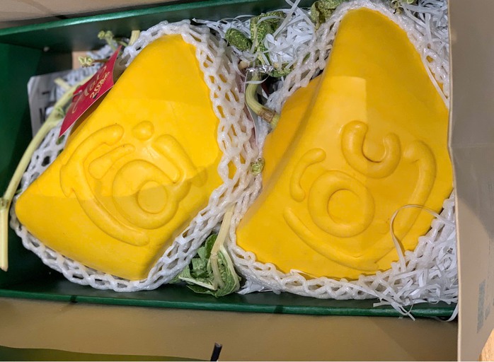 Dưa v&agrave;ng hồ l&ocirc;, thỏi v&agrave;ng "th&oacute;t tim" với mưa tr&aacute;i m&ugrave;a- Ảnh 2.