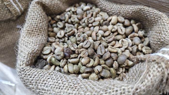 Giá cà phê hôm nay 15-1: Nhà vườn lo giá rớt dưới 100.000 đồng/kg- Ảnh 1. Giá cà phê hôm nay 15-1: Nhà vườn lo giá rớt dưới 100.000 đồng/kg- Ảnh 1.
