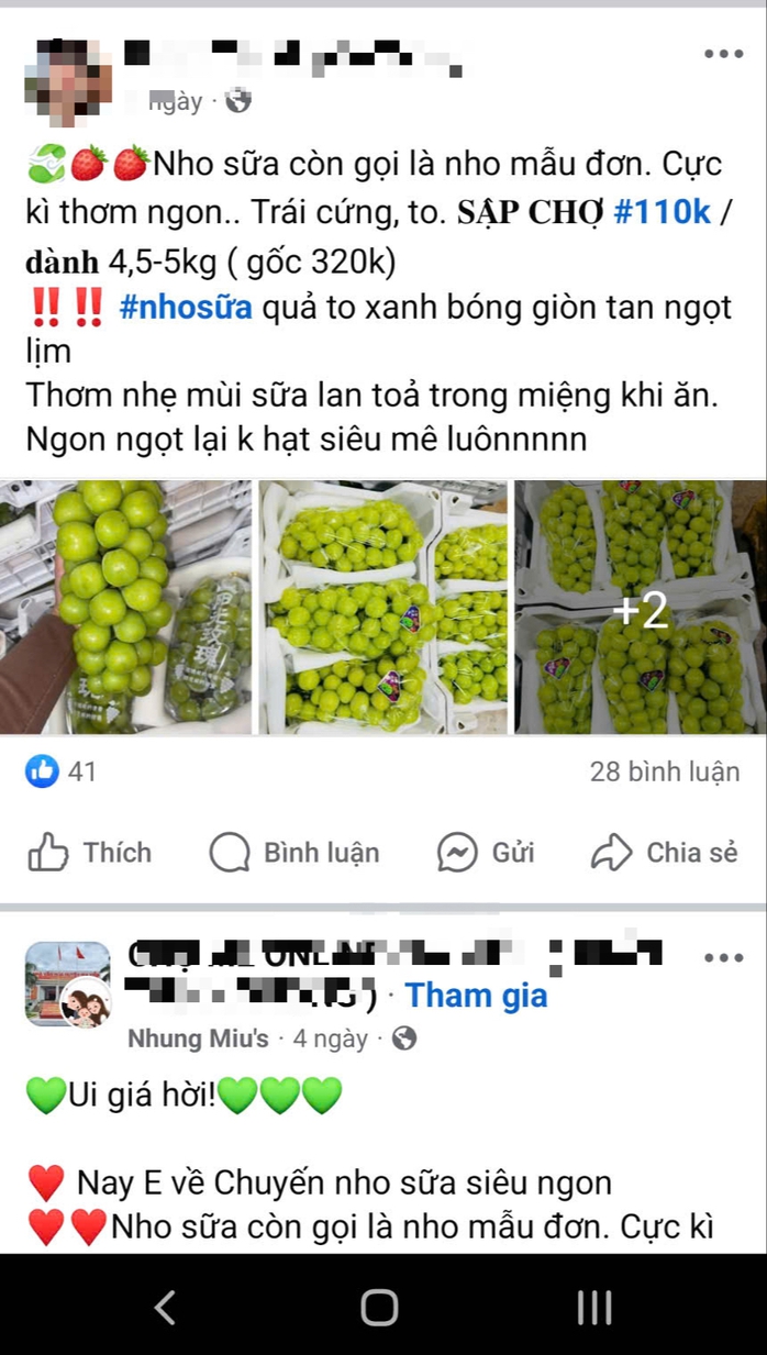 Thận trọng mua nho sữa "quý tộc" với giá siêu rẻ ở chợ Tết online- Ảnh 2. Thận trọng mua nho sữa "quý tộc" với giá siêu rẻ ở chợ Tết online- Ảnh 2.