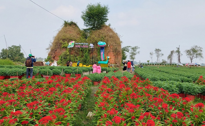 Du xuân sớm ở "vương quốc hoa kiểng"- Ảnh 1. Du xuân sớm ở "vương quốc hoa kiểng"- Ảnh 1.