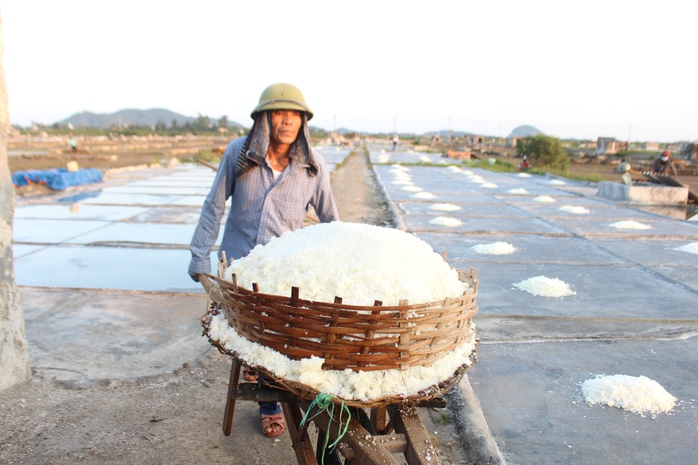 Làm giàu từ hạt muối, trả nợ diêm dân- Ảnh 1. Làm giàu từ hạt muối, trả nợ diêm dân- Ảnh 1.