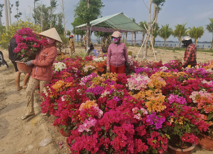 Tin vui cho các chủ vườn kinh doanh hoa kiểng ở miền Tây- Ảnh 2. Tin vui cho các chủ vườn kinh doanh hoa kiểng ở miền Tây- Ảnh 2.