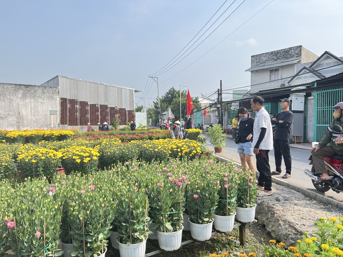 CLIP: Làng hoa hơn 100 tuổi ở Cần Thơ rực rỡ sắc màu vào cận Tết- Ảnh 11. CLIP: Làng hoa hơn 100 tuổi ở Cần Thơ rực rỡ sắc màu vào cận Tết- Ảnh 11.