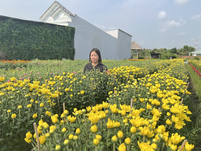CLIP: Làng hoa hơn 100 tuổi ở Cần Thơ rực rỡ sắc màu vào cận Tết- Ảnh 12. CLIP: Làng hoa hơn 100 tuổi ở Cần Thơ rực rỡ sắc màu vào cận Tết- Ảnh 12.