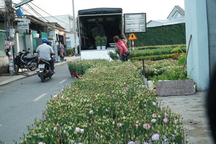 VIDEO: Nhộn nhịp chợ hoa kiểng Tết Ất Tỵ 2025- Ảnh 1. VIDEO: Nhộn nhịp chợ hoa kiểng Tết Ất Tỵ 2025- Ảnh 1.