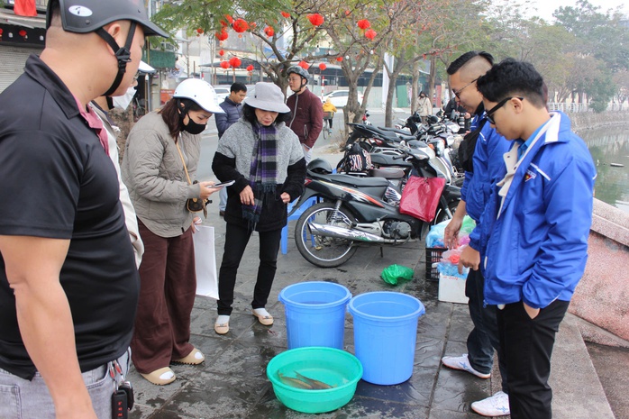 Gom cá chép vào thùng nhựa 180 lít thả xuống sông Hồng để tiễn ông Công, ông Táo về trời- Ảnh 1. Gom cá chép vào thùng nhựa 180 lít thả xuống sông Hồng để tiễn ông Công, ông Táo về trời- Ảnh 1.