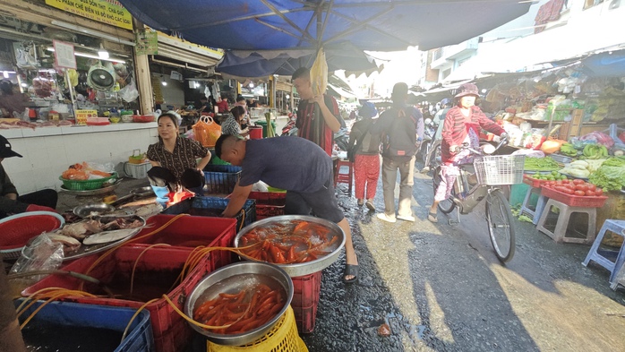 Chợ nhà giàu ở TP HCM bán cá chép mi ni ngày 23 tháng Chạp- Ảnh 1. Chợ nhà giàu ở TP HCM bán cá chép mi ni ngày 23 tháng Chạp- Ảnh 1.