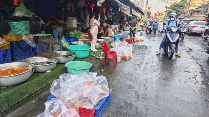 Chợ nhà giàu ở TP HCM bán cá chép mi ni ngày 23 tháng Chạp- Ảnh 3. Chợ nhà giàu ở TP HCM bán cá chép mi ni ngày 23 tháng Chạp- Ảnh 3.