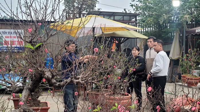 Nhiều phố bán đào, quất chơi Tết ở Hà Nội đìu hiu, khách mua thưa thớt- Ảnh 3. Nhiều phố bán đào, quất chơi Tết ở Hà Nội đìu hiu, khách mua thưa thớt- Ảnh 3.
