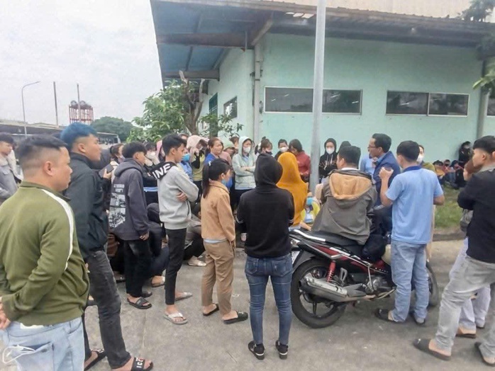 Công ty cam kết ứng tiền, 250 công nhân ở Quảng Nam làm việc trở lại- Ảnh 1. Công ty cam kết ứng tiền, 250 công nhân ở Quảng Nam làm việc trở lại- Ảnh 1.