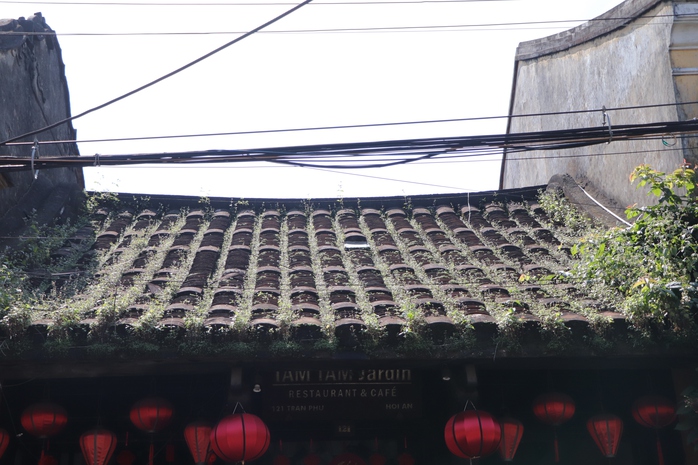 Du khách khoe sắc trên con đường duy nhất Việt Nam lọt top đẹp nhất thế giới- Ảnh 13. Du khách khoe sắc trên con đường duy nhất Việt Nam lọt top đẹp nhất thế giới- Ảnh 13.