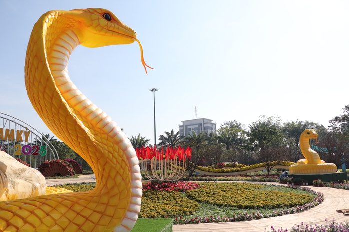 Linh vật rắn vàng Quảng Nam nhận "mưa" lời khen- Ảnh 15. Linh vật rắn vàng Quảng Nam nhận "mưa" lời khen- Ảnh 15.