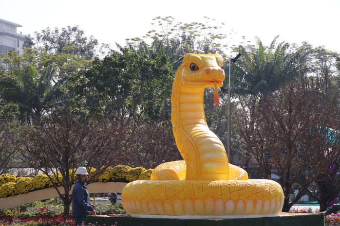 Linh vật rắn vàng Quảng Nam nhận "mưa" lời khen- Ảnh 3. Linh vật rắn vàng Quảng Nam nhận "mưa" lời khen- Ảnh 3.