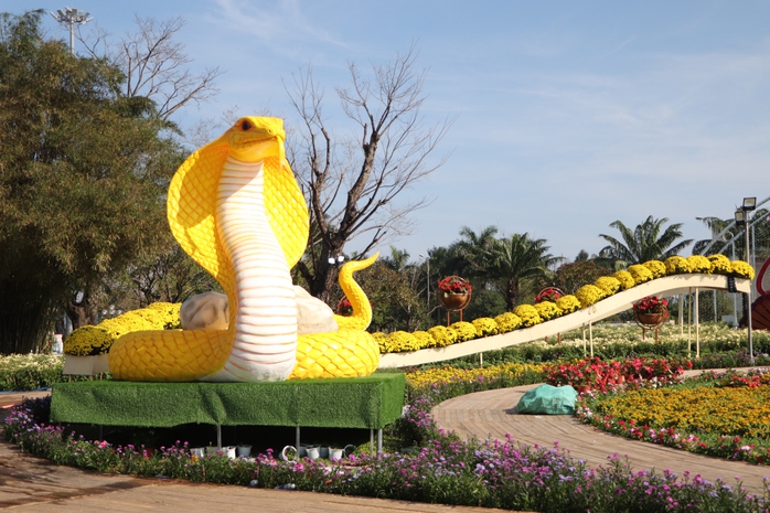 Linh vật rắn vàng Quảng Nam nhận "mưa" lời khen- Ảnh 6. Linh vật rắn vàng Quảng Nam nhận "mưa" lời khen- Ảnh 6.