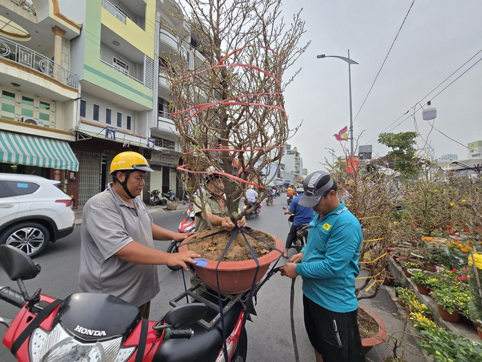 TP HCM: Khai mạc chợ hoa xuân "trên bến dưới thuyền"- Ảnh 7. TP HCM: Khai mạc chợ hoa xuân "trên bến dưới thuyền"- Ảnh 7.