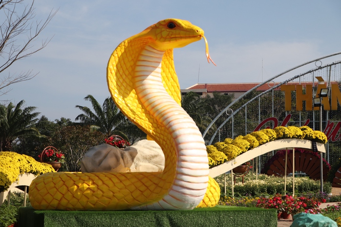 Linh vật rắn vàng Quảng Nam nhận "mưa" lời khen- Ảnh 7. Linh vật rắn vàng Quảng Nam nhận "mưa" lời khen- Ảnh 7.