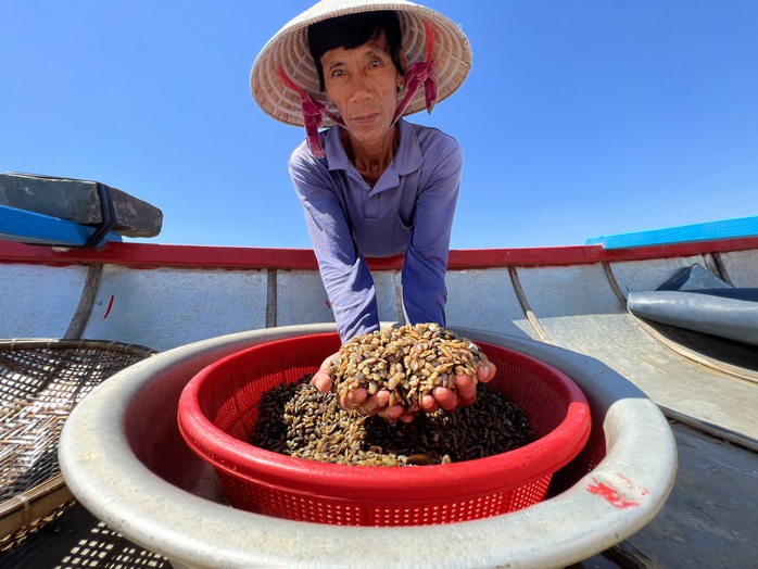 Don được người dân xã Nghĩa Hòa, TP Quảng Ngãi khai thác. Don được người dân xã Nghĩa Hòa, TP Quảng Ngãi khai thác.