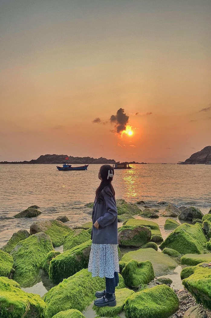 Đẹp ngỡ ngàng mùa rêu xanh ở biển Quy Nhơn- Ảnh 5. Đẹp ngỡ ngàng mùa rêu xanh ở biển Quy Nhơn- Ảnh 5.