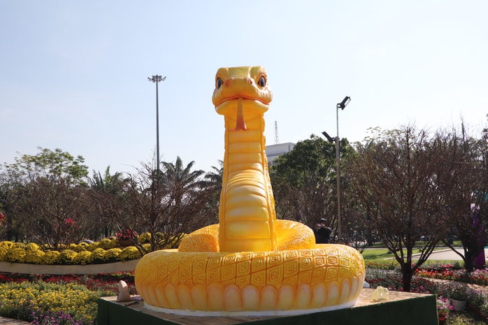 Linh vật rắn vàng Quảng Nam nhận "mưa" lời khen- Ảnh 11. Linh vật rắn vàng Quảng Nam nhận "mưa" lời khen- Ảnh 11.
