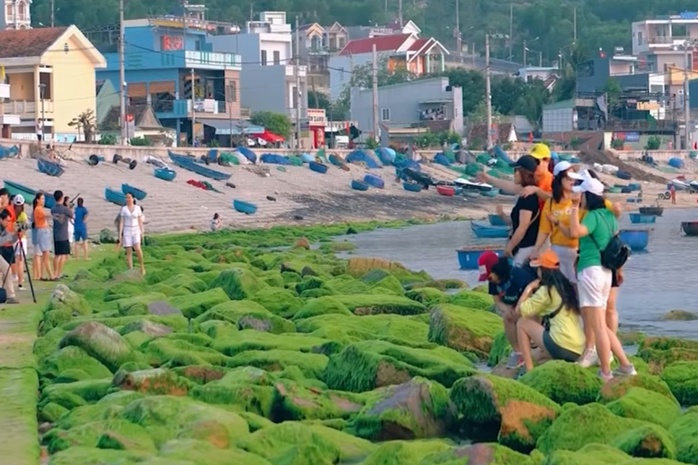 Đẹp ngỡ ngàng mùa rêu xanh ở biển Quy Nhơn- Ảnh 9. Đẹp ngỡ ngàng mùa rêu xanh ở biển Quy Nhơn- Ảnh 9.