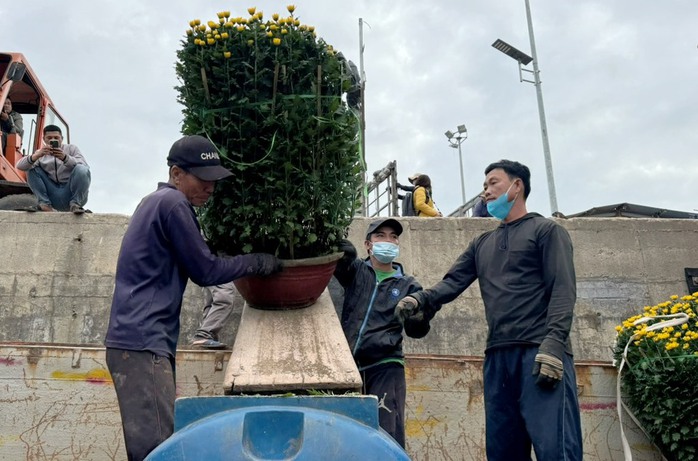 "Chở Tết" ra đảo tiền tiêu Lý Sơn- Ảnh 5. "Chở Tết" ra đảo tiền tiêu Lý Sơn- Ảnh 5.