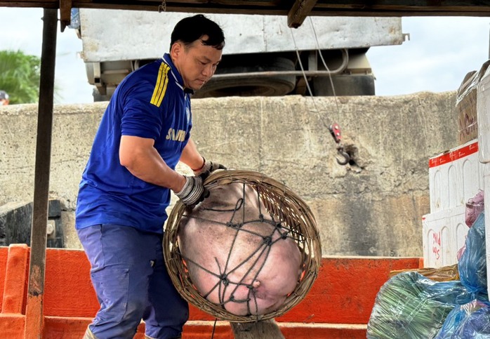 "Chở Tết" ra đảo tiền tiêu Lý Sơn- Ảnh 10. "Chở Tết" ra đảo tiền tiêu Lý Sơn- Ảnh 10.