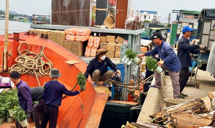 "Chở Tết" ra đảo tiền tiêu Lý Sơn- Ảnh 4. "Chở Tết" ra đảo tiền tiêu Lý Sơn- Ảnh 4.