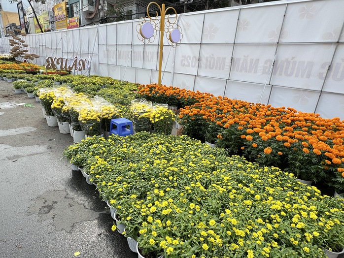 Lý do đường hoa nghệ thuật Cần Thơ tái hiện sau 4 năm "vắng bóng"- Ảnh 10. Lý do đường hoa nghệ thuật Cần Thơ tái hiện sau 4 năm "vắng bóng"- Ảnh 10.