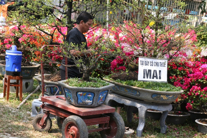 Thú chơi hoa kiểng dịp Tết và những giá trị văn hóa truyền thống- Ảnh 15. Thú chơi hoa kiểng dịp Tết và những giá trị văn hóa truyền thống- Ảnh 15.