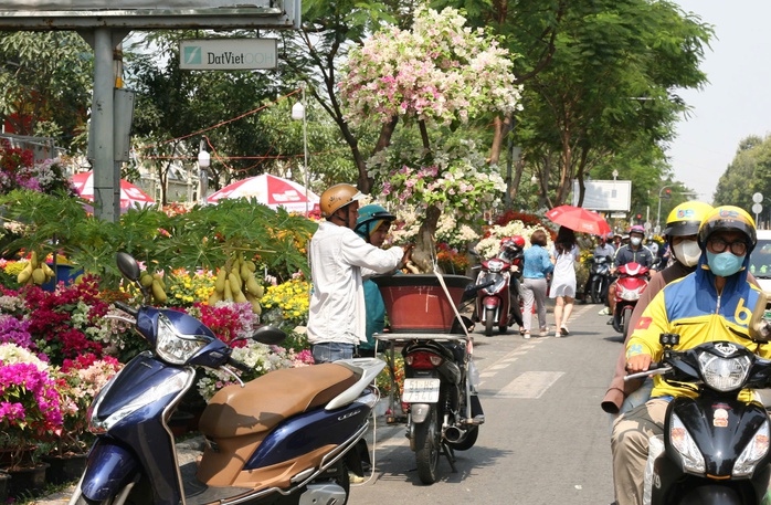 Thú chơi hoa kiểng dịp Tết và những giá trị văn hóa truyền thống- Ảnh 8. Thú chơi hoa kiểng dịp Tết và những giá trị văn hóa truyền thống- Ảnh 8.