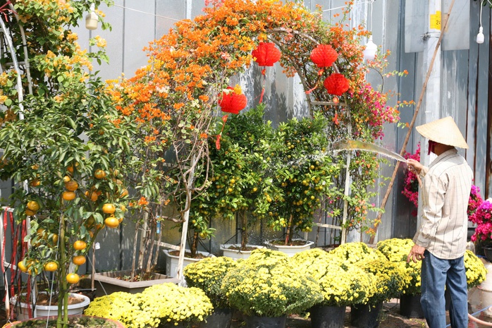 Thú chơi hoa kiểng dịp Tết và những giá trị văn hóa truyền thống- Ảnh 1. Thú chơi hoa kiểng dịp Tết và những giá trị văn hóa truyền thống- Ảnh 1.
