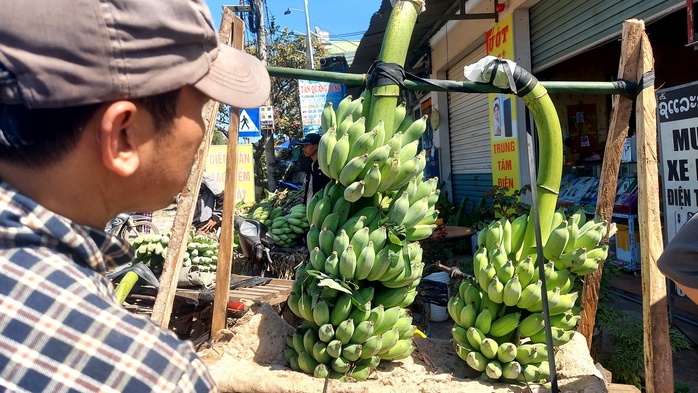 Đi chợ chuối mật mốc lớn nhất miền Trung ngày cuối năm- Ảnh 5. Đi chợ chuối mật mốc lớn nhất miền Trung ngày cuối năm- Ảnh 5.