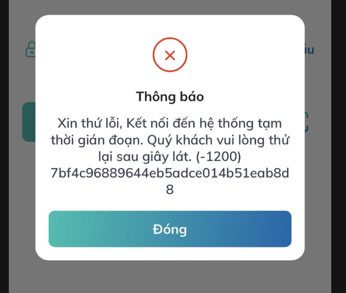 Cận Tết, khách than chuyển khoản, thanh toán online trục trặc- Ảnh 1. Cận Tết, khách than chuyển khoản, thanh toán online trục trặc- Ảnh 1.