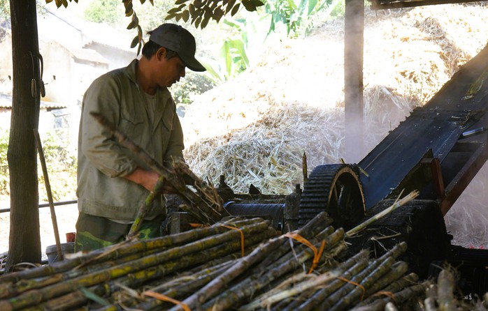 Kiếm bộn tiền từ nghề nấu mật mía phục vụ Tết- Ảnh 4. Kiếm bộn tiền từ nghề nấu mật mía phục vụ Tết- Ảnh 4.