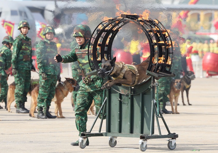 "Chiến binh" thầm lặng và đặc biệt của Quân đội Nhân dân Việt Nam- Ảnh 2. "Chiến binh" thầm lặng và đặc biệt của Quân đội Nhân dân Việt Nam- Ảnh 2.