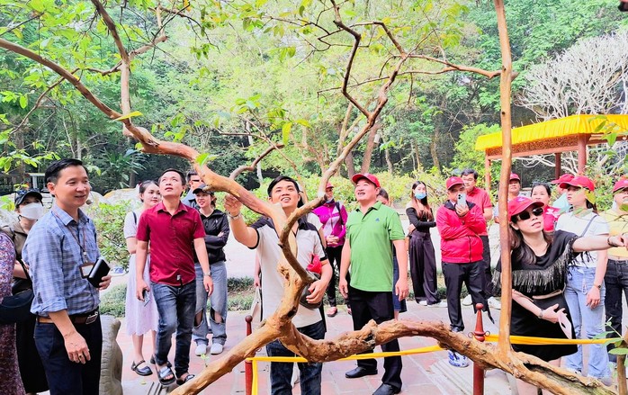 Miễn phí vé tham quan Thành nhà Hồ, Lam Kinh ngày Tết- Ảnh 1. Miễn phí vé tham quan Thành nhà Hồ, Lam Kinh ngày Tết- Ảnh 1.