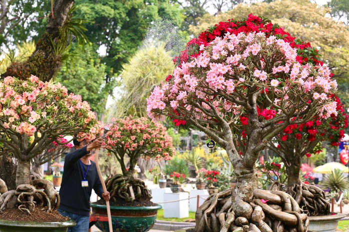 Hội hoa xuân TP HCM: Kỳ hoa dị thảo, điểm đến không thể bỏ lỡ- Ảnh 6. Hội hoa xuân TP HCM: Kỳ hoa dị thảo, điểm đến không thể bỏ lỡ- Ảnh 6.