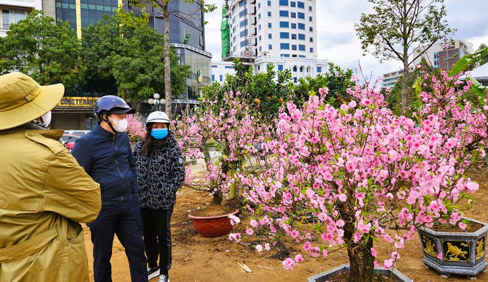 Đào bung nở khắp phố dưới mưa rét, tiểu thương "cắn răng" xả lỗ- Ảnh 6. Đào bung nở khắp phố dưới mưa rét, tiểu thương "cắn răng" xả lỗ- Ảnh 6.