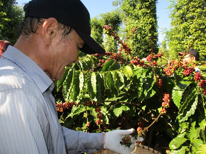 Giải mã sự “thần kỳ” của nông nghiệp Việt Nam- Ảnh 2. Giải mã sự “thần kỳ” của nông nghiệp Việt Nam- Ảnh 2.
