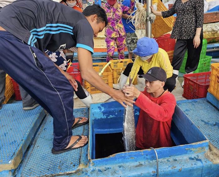 Cá tôm đầy ắp, ngư dân Bà Rịa- Vũng Tàu và du khách “sướng ra mặt”- Ảnh 2. Cá tôm đầy ắp, ngư dân Bà Rịa- Vũng Tàu và du khách “sướng ra mặt”- Ảnh 2.