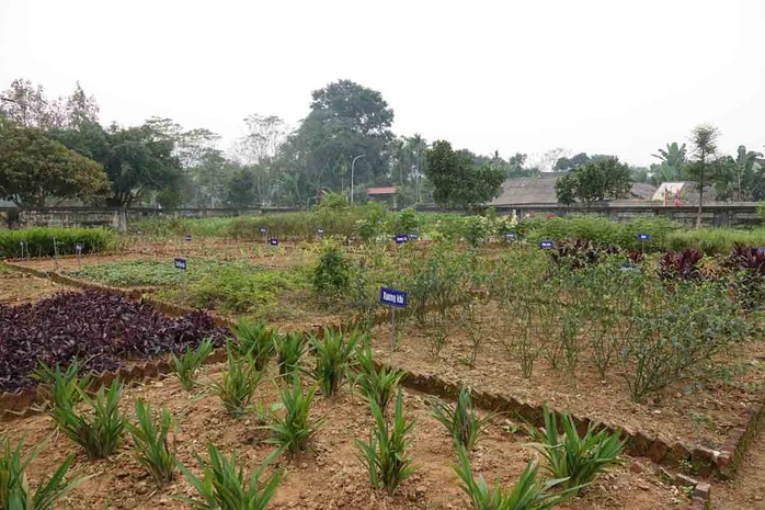 Có gì trong khu di tích Hải Thượng Lãn Ông vừa trở thành Di tích Quốc gia đặc biệt?- Ảnh 13. Có gì trong khu di tích Hải Thượng Lãn Ông vừa trở thành Di tích Quốc gia đặc biệt?- Ảnh 13.