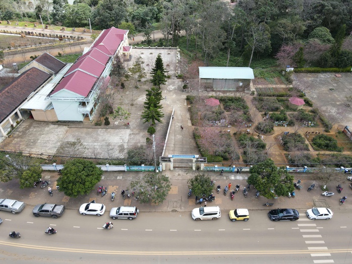 Măng Đen rực rỡ sắc hoa anh đào, người người mê đắm- Ảnh 3. Măng Đen rực rỡ sắc hoa anh đào, người người mê đắm- Ảnh 3.