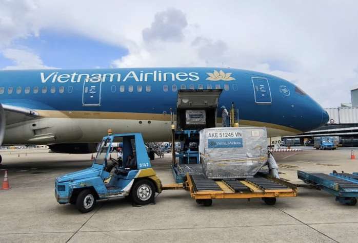 Những "hàng hóa" đặc biệt trên máy bay - Chuyện ít người biết- Ảnh 5. Những "hàng hóa" đặc biệt trên máy bay - Chuyện ít người biết- Ảnh 5.