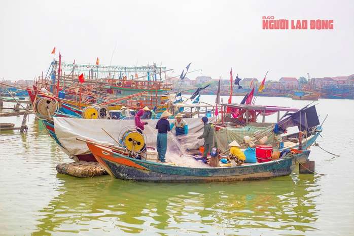 Ra biển 1 đêm kiếm cả trăm triệu đồng, ngư dân "hốt bạc" ngay trước Tết- Ảnh 1. Ra biển 1 đêm kiếm cả trăm triệu đồng, ngư dân "hốt bạc" ngay trước Tết- Ảnh 1.