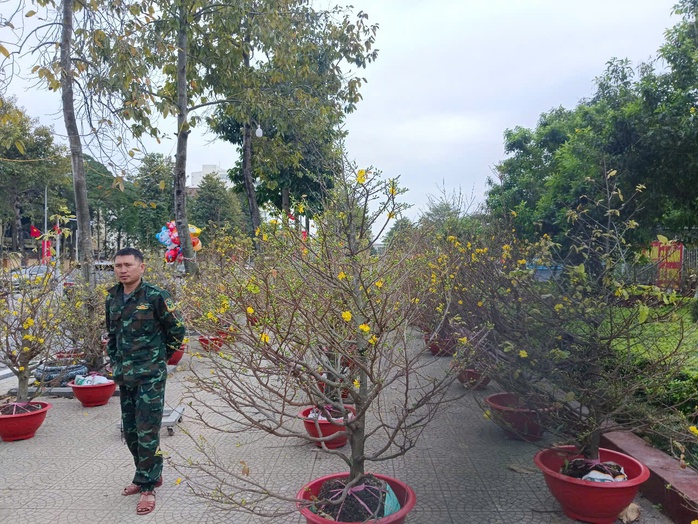 VIDEO: Mai vàng ế ẩm, tiểu thương “xả hàng” nhưng vẫn vắng người mua- Ảnh 9. VIDEO: Mai vàng ế ẩm, tiểu thương “xả hàng” nhưng vẫn vắng người mua- Ảnh 9.