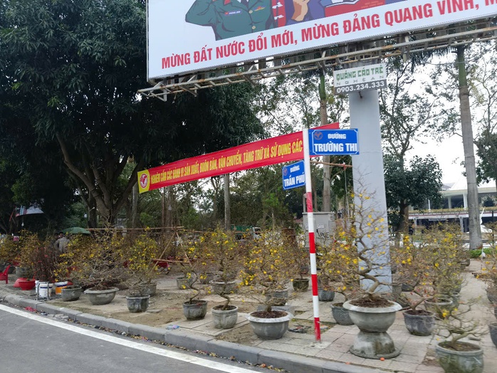 VIDEO: Mai vàng ế ẩm, tiểu thương “xả hàng” nhưng vẫn vắng người mua- Ảnh 7. VIDEO: Mai vàng ế ẩm, tiểu thương “xả hàng” nhưng vẫn vắng người mua- Ảnh 7.